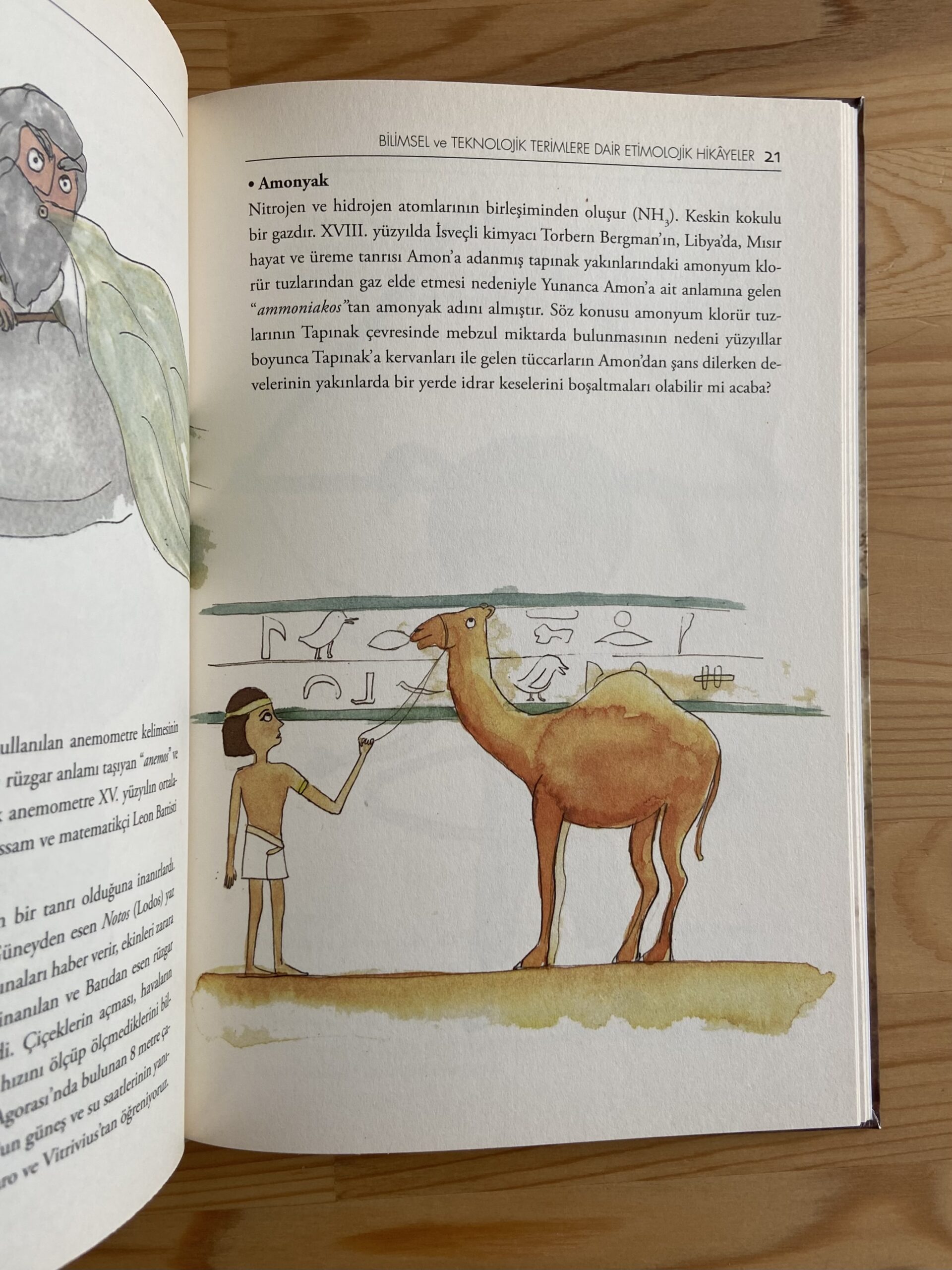 Inner Page