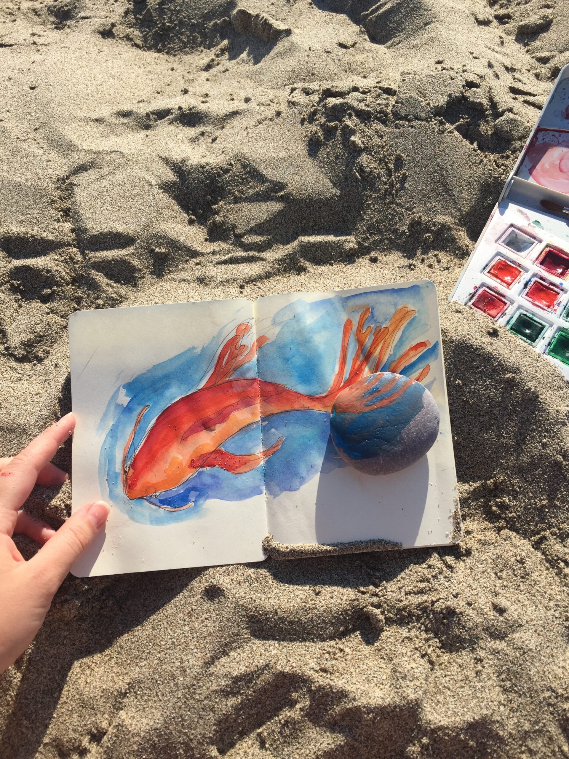 Koi Dreams on a Beach